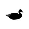 Captcha image 8935